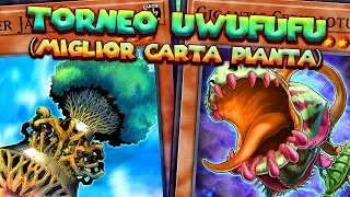 La Miglior Carta Pianta di Yu-Gi-Oh! + Duelli col mio mazzo marcio GRANDAUTISMO