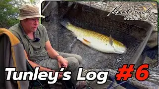 Tunley's Log | No.6 | 18th Aug 2025