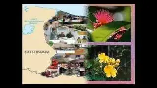 ★★  MA GUYANE Souvenirs★★
