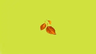 [FREE] Freestyle Type Beat - 