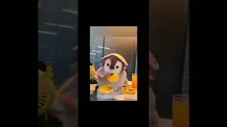 pookie bird&hearts;️🥺😍 #unfrezzmyaccount #unfrez #cute #love #pookie #foryou #like#animallife #penguin