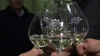 Néró Rosé bor a siker kulcsa a kiskőrösi Szentpéteri pincészetben