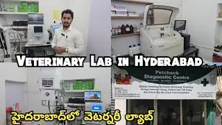 Pets Check Diagnostics Centre in Hyderabad masabtank | Veterinary Lab | హైదరాబాద్&zwnj;లో వెటర్నరీ ల్యాబ్