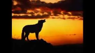 Eres un sueño - Temerarios (Poema: Mi alma te esperaba)