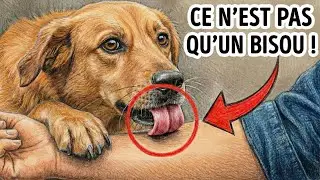 La VRAIE Raison pour Laquelle ton Chien te L&egrave;che ! (ce n&rsquo;est pas un bisou)