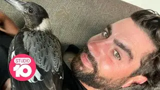 The Firefighter, The Cat And The Magpie | Studio 10