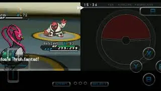 Elite Four Marshal