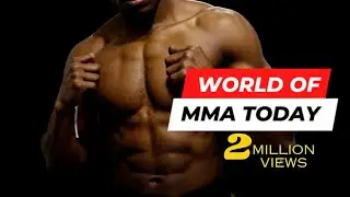 The Captivating World of Mixed Martial Arts
