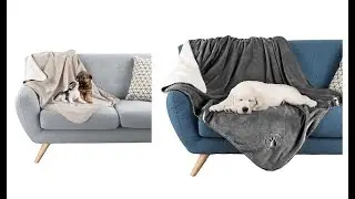 Best Top 10 Pet Blanket For 2021   Top Rated Best Pet Blanket