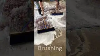 Pakistan Rug Cleaning #shorts
