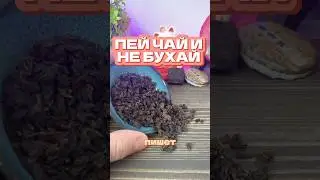 Лао те гуань инь, мощный сорт