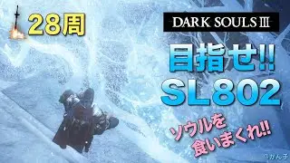 《28周目-102》目指せSL802（現SL651） 駆け抜け配信　ダークソウル3