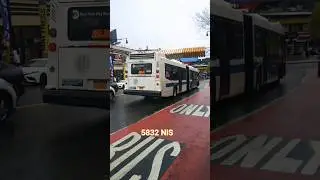 MTA NYC BUS: 5832 NiS @ Fordham & Marion #mta #nycbus #youtubeshorts #music