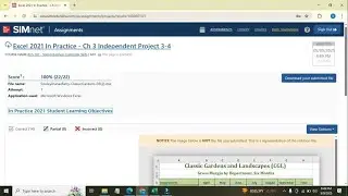Excel 2021 In Practice - Ch 3 Independent Project 3-4 | Step-by-Step SIMnet Solution |  Excel 2024