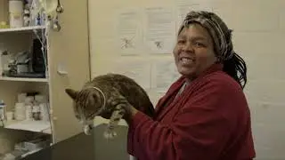 Animal Rescue Organisation