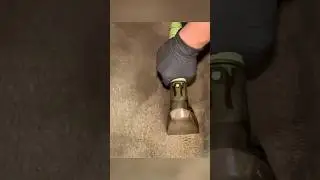 GROSS Brown Carpet Extracting!! 🤕