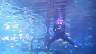 #underwater #underwatercamera #umbul #umbulponggok #umbulklaten