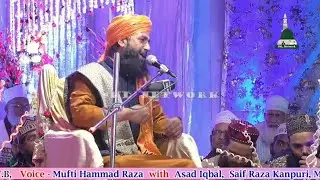 Mufti Hammad Raza || Mufti e Azam e Hind Kaun Hai ? (with Asad Iqbal Kalkattavi)