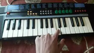 Sa Re Ga Ma | On Casio Sa-21 | #PriyamCasioMashup