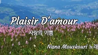 Plaisir D'amour 사랑의 기쁨 나나무수꾸리노래 Digital Horn cover