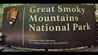 GoPro driving video in the Great Smoky Mountains National park Tennessee. Wild Turkey