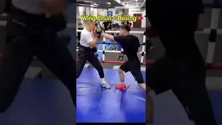 WING CHUN + BOXING #boxing #kungfu #wingchun #adaptation #mma #luta #ufc #vingtsunkungfu #brucelee