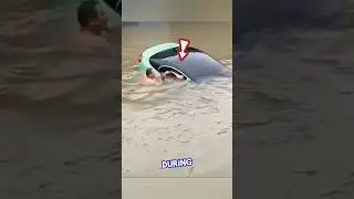 Man Saves Girl from Sinking Car in Flood 💕 #rescue #heartwarming #humanity
