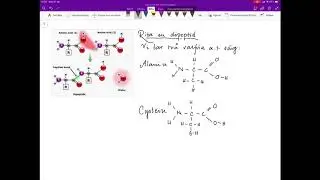 Dipeptider