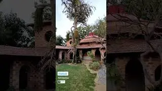 Ritu Rathee Instagram Story | Villa Tour | Flying Beast | Gaurav Taneja | rashu | Ritu | #shorts