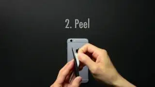 Easy to Attach Gecko Wallets to Your Phone!