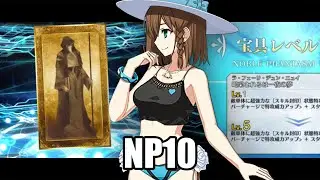 【FGO】The Journey from NP5 to NP10