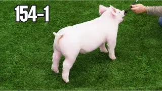 154-1 Barrow