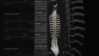 Biomechanics of the Spine app #3danatomy #spine