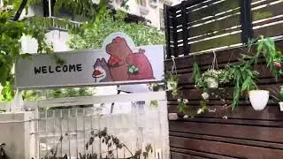 Taipei Capybara cafe