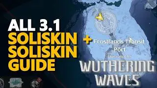 All 3.1 Soliskin + Soliskin Guide Wuthering Waves