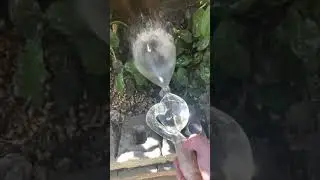 Viktor Schauberger vortex garden hose attachment test #structuredwater #livingwater #healthyliving