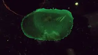 ILLWILL - BlxxdMoon x Noaah x SynthBlxxd (Official Music Video)