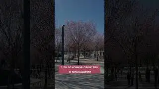 ЛЮБОВЬ в каббале