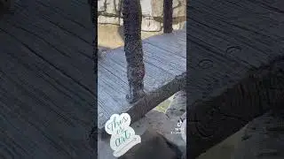 Using real wood to make fake wood 🤔 no one is gunnaknow 😂#shorts #viral #art #concrete #magic