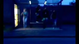 bushokje
