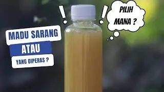 Lebih Untung Mana ? Beli Madu Kaliandra Yang Di Peras Atau Madu Kaliandra Masih Dalam Sarang