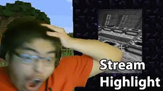 MINECRAFT SPEEDRUN STREAMHIGHLIGHT: THIS BLIND TRAVEL WAS INSANE!??!