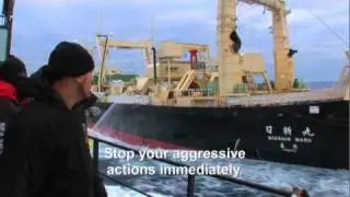 Whale Wars: Best of Series 1: First Attack on the Mothership