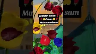 Canların Cananı Canan Muhammed sav