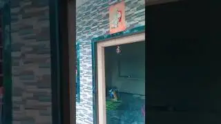 wall tiles design granite door frame design tiles boy