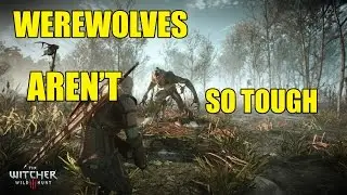 The Witcher 3 | lvl 21 witcher vs lvl 32 werewolf on Blood and Broken Bones