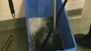 Kennel Cleaning Procedure.VRO