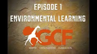 Environmental Learning with GCF - Episode 1: Environment