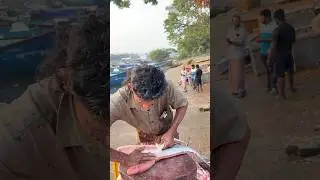 Amazing 🤩 pappans Fish cutting #vibe #fishcutting #skills