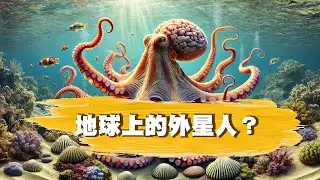 🔥【章魚真的來自外星？】9顆大腦＋藍色血液，牠到底是什麼生物？